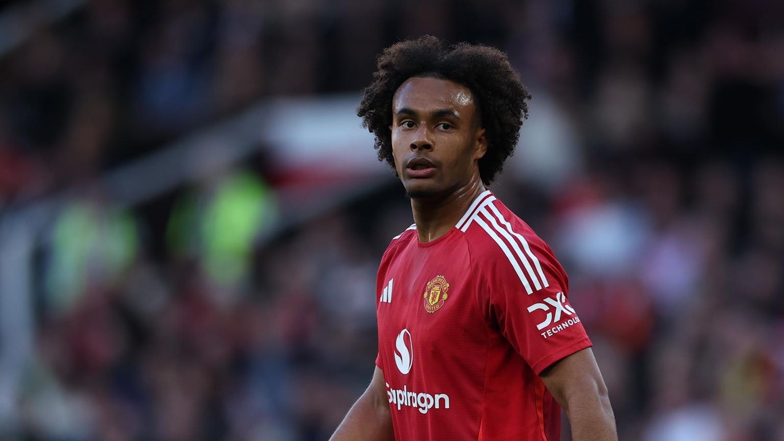 荷兰前锋泽尔克西带队对阵埃弗顿的照片，夜晚的老特拉福德