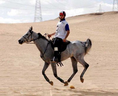 2007-11-19-00000301177434