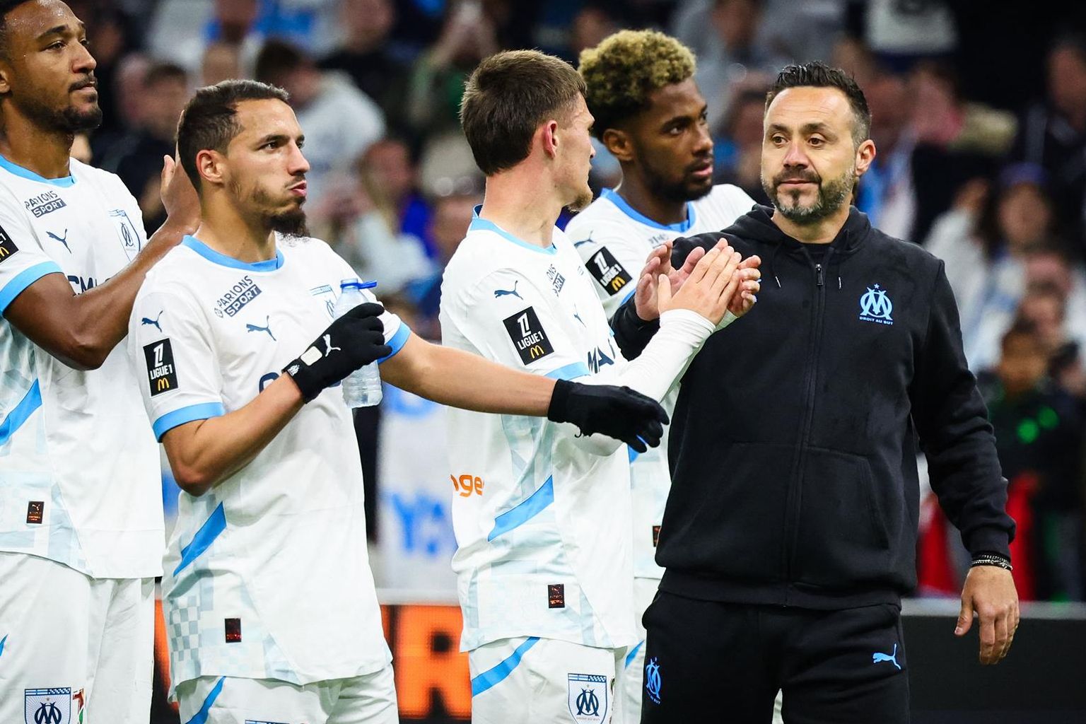 روبيرتو دي زيربي