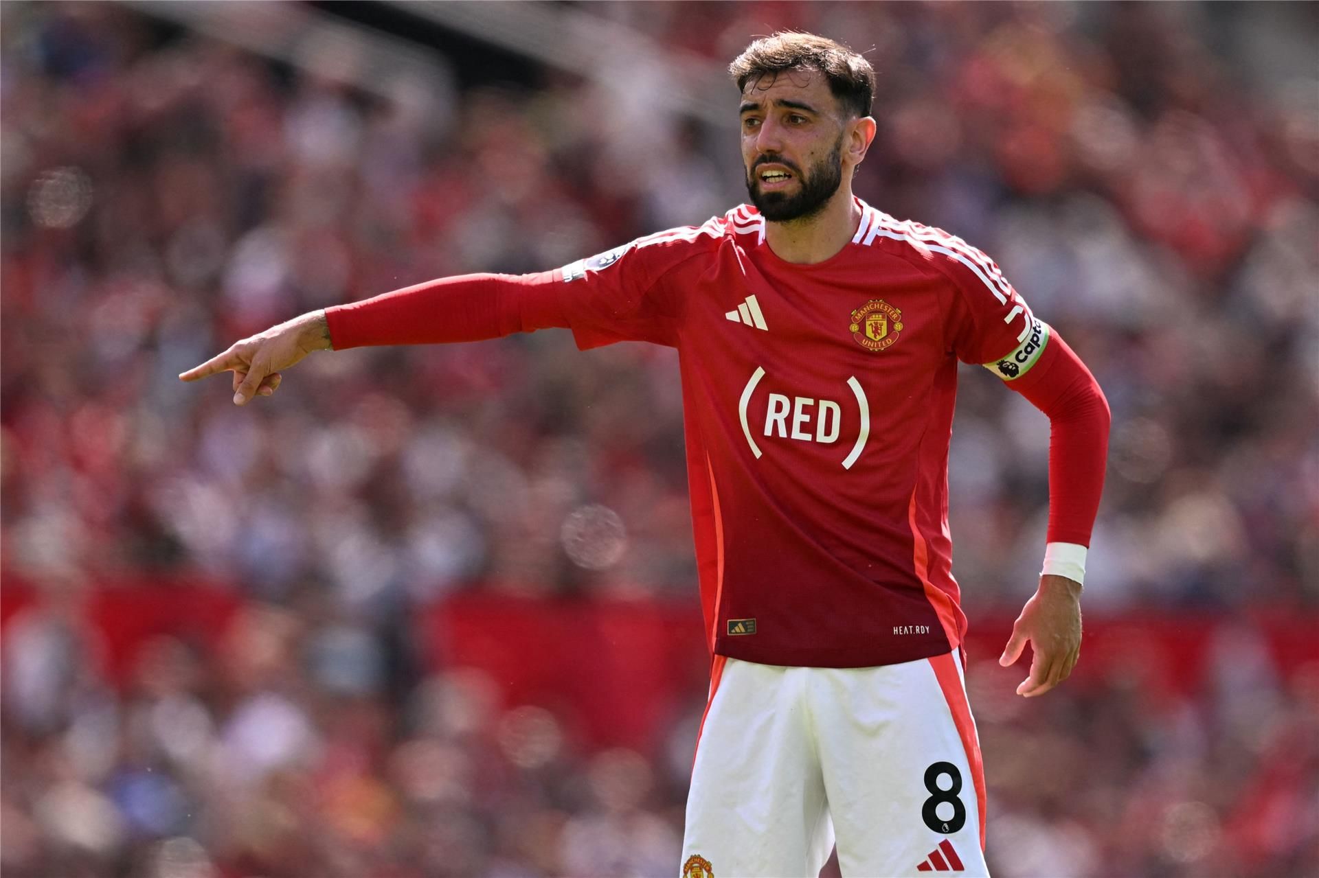 برونو فرنانديز