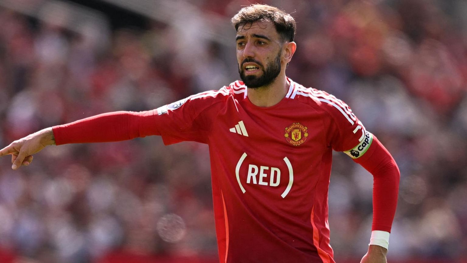 برونو فرنانديز