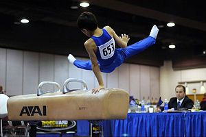 300px-gymnastics_brokenchopstick
