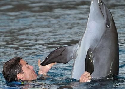 cristiano-ronaldo-dolphins