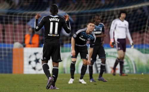 الفيل الإيفواري تعثّر في الأدغال