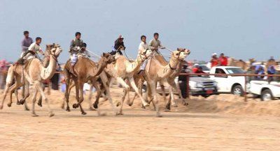 2007-11-20-00000301178138