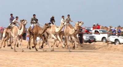 2007-11-20-00000301178138