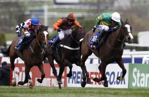 2012-03-16t182304z_01_edy08_rtridsp_3_horse-racing-cheltenham_reuters