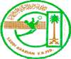 saudi_volleyball