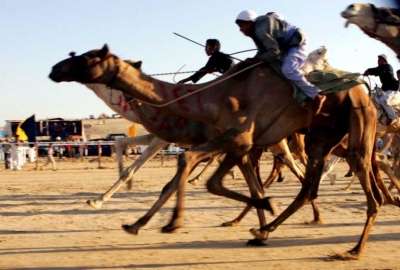 صورة ارشيفية