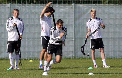 2012-06-06t163155z_01_aa67_rtridsp_3_soccer-euro_reuters