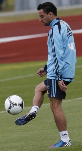 2012-06-06t124324z_01_aa39_rtridsp_3_soccer-euro_reuters