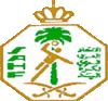 saudi_handball