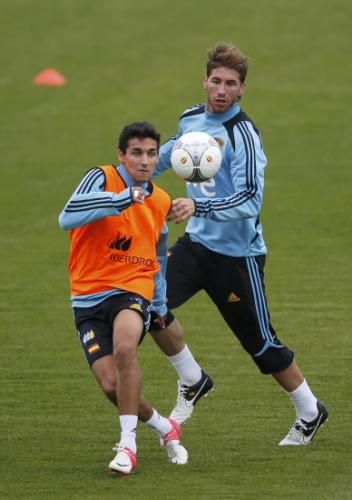 2012-06-06t123057z_01_aa34_rtridsp_3_soccer-euro_reuters