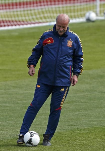 2012-06-17t102518z_01_aa07_rtridsp_3_soccer-euro_reuters