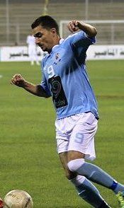 محمد الحموي