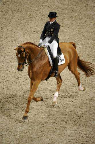 2011-11-27t154114z_01_sto03_rtridsp_3_equestrian_reuters