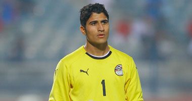 علي لطفي 