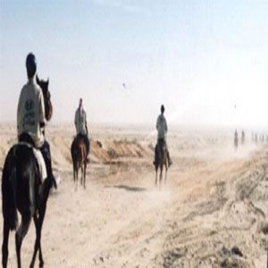 صورة ارشيفية