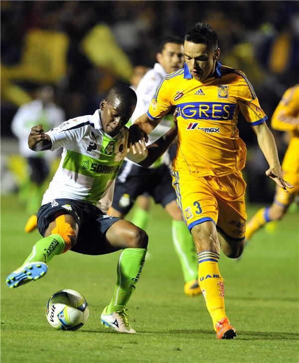 تيجريس  تعادل على أرضه امام سانتوس لاجونا