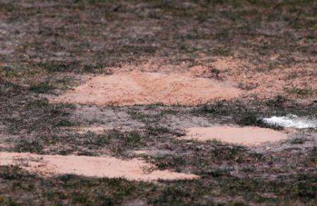 استاد البترا كما ظهر اليوم