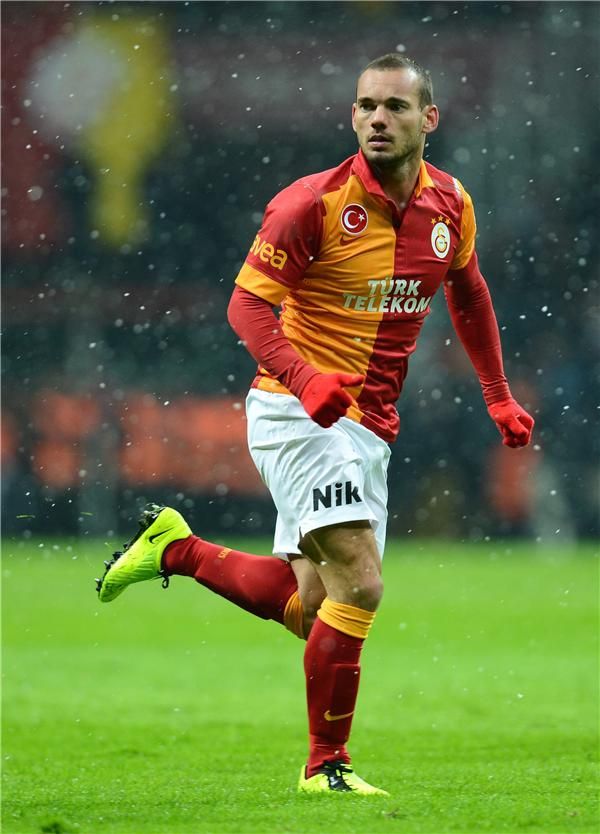 ويسلي شنايدر