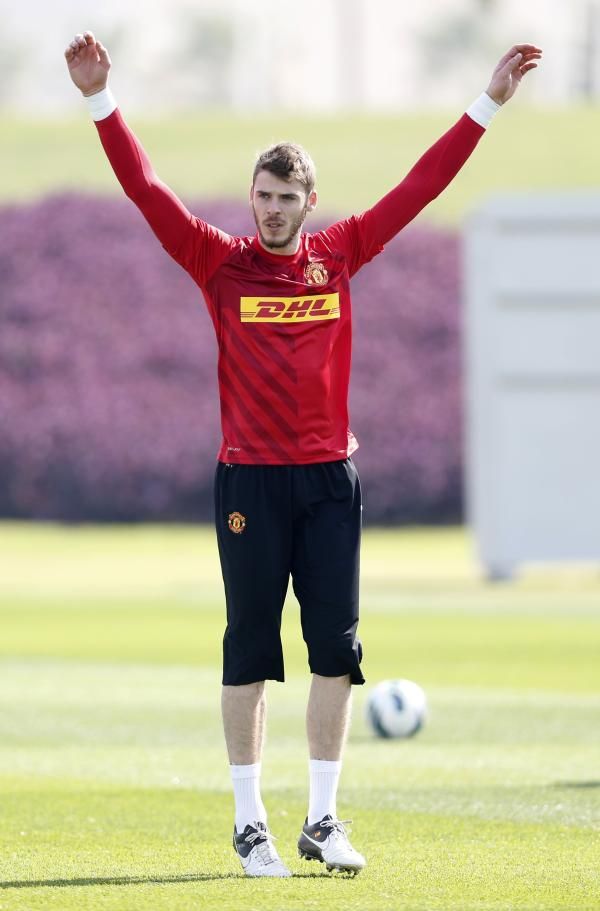 ديفيد دي خيا