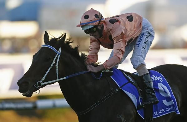 الفرس بلاك كافيار خلال سباق سيدني