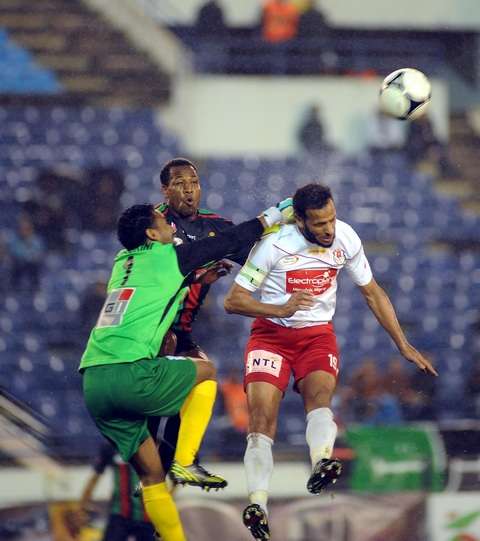 koo_photo 3