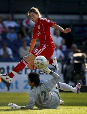  فرناندو توريس 