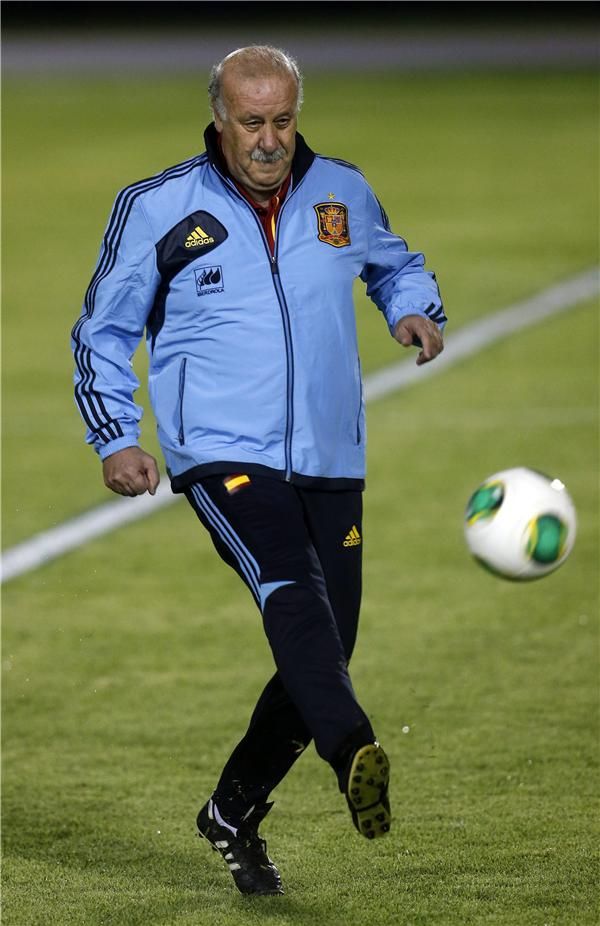 فيسنتي دل بوسكي