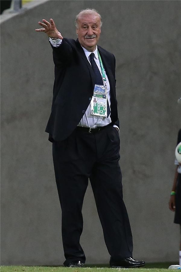 فيسنتي دل بوسكي