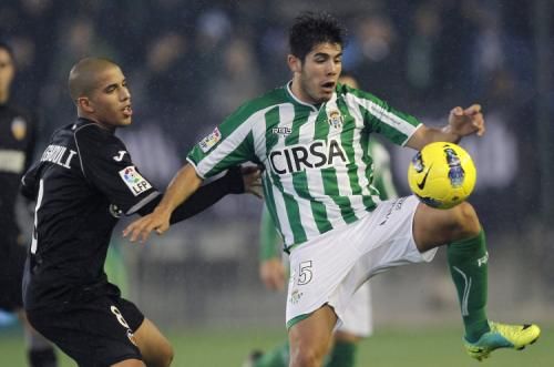 أليخاندرو بوزويلو 