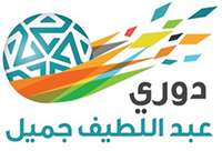 saudi2013