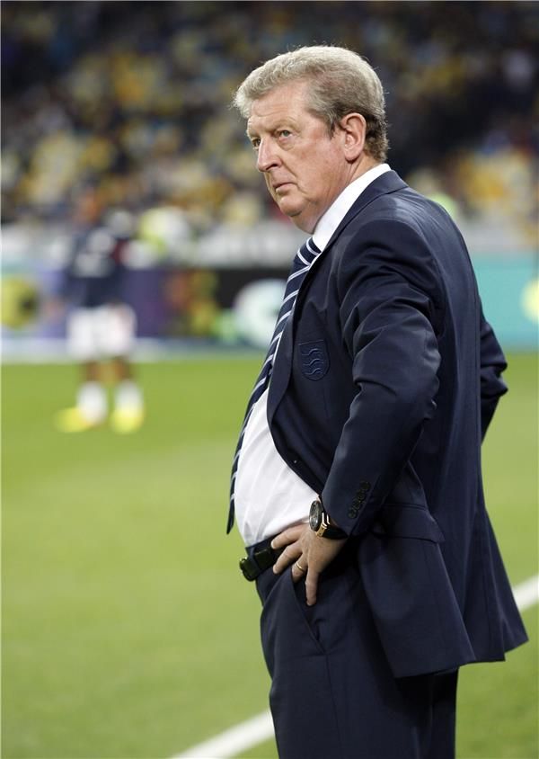 روي هودجسون 