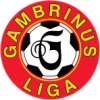 gambrinus_liga
