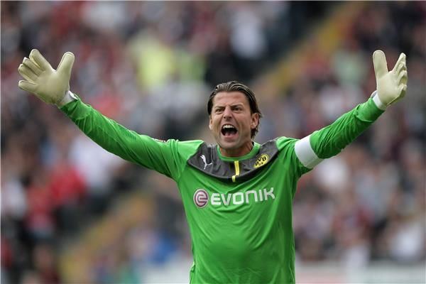 رومان فايدنفلر