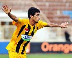 شمس الدين الشطيبي