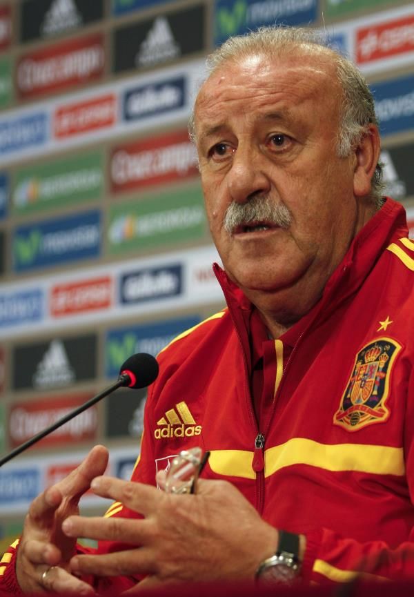 فيسنتي دل بوسكي 