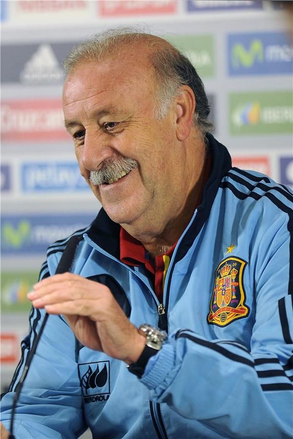 فيسنتي ديل بوسكي 