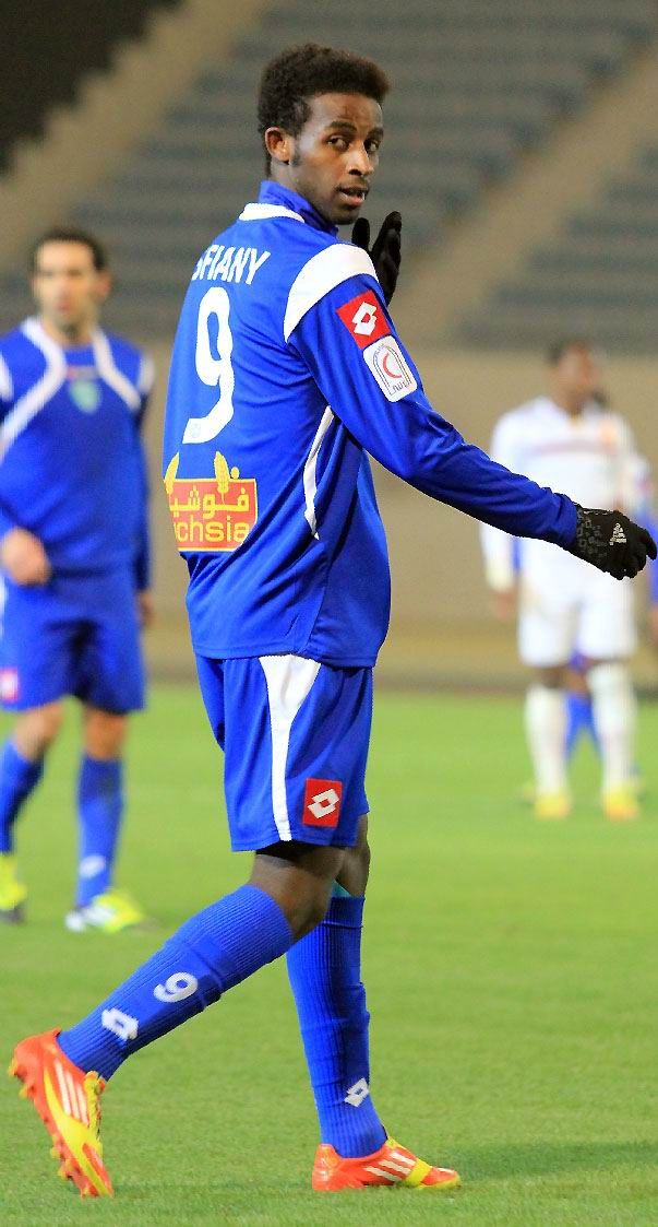 ربيع سفياني 