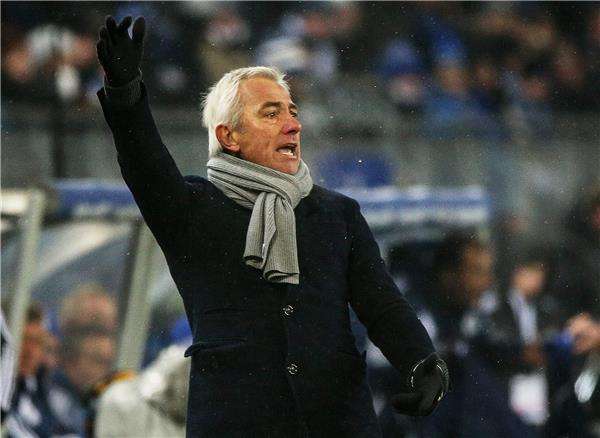 بيرت فان مارفيك مدرب هامبورج