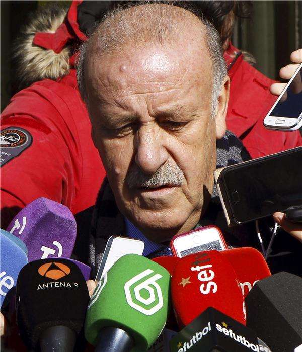  فيسنتي ديل بوسكي