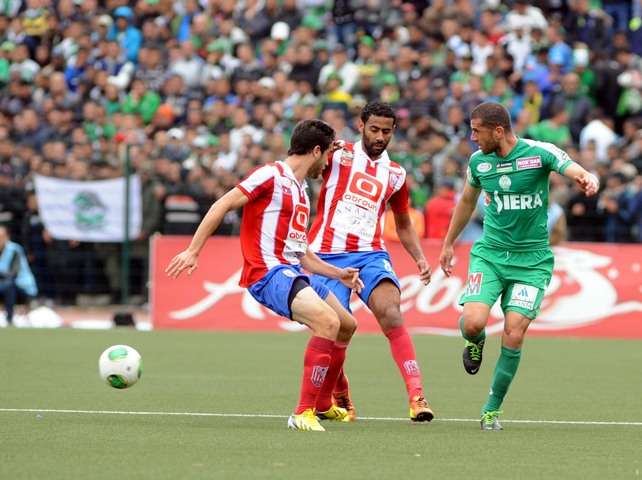 koo_photo 2 (4)