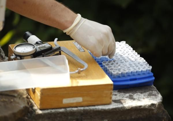 2012-07-04t111314z_713021565_gm1e8741hbt01_rtrmadp_3_soccer-germany_reuters