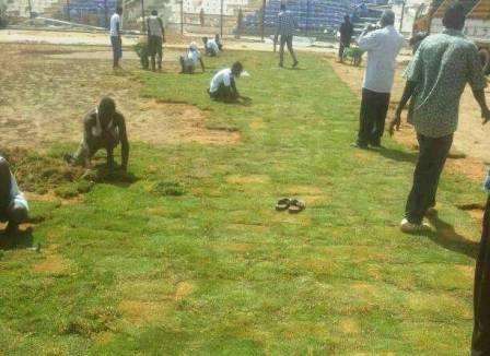 عملية تركيب النجيل الطبيعي