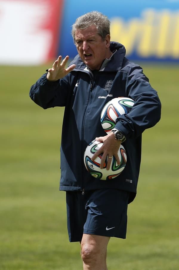 روي هودجسون