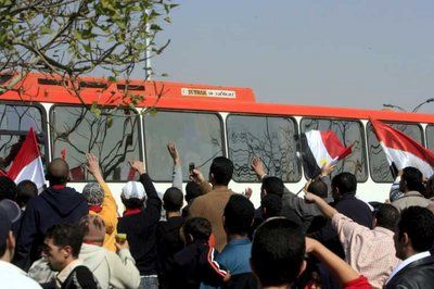 الجماهير المصرية الحاشدة تحيي منتخبها الكروي 