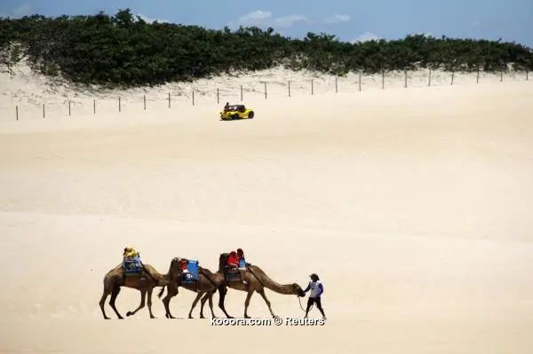 ?i=reuters%2f2014-03-28%2f2014-03-28t033534z_1732368734_gm1ea3s0w4901_rtrmadp_3_brazil-worldcup_reuters