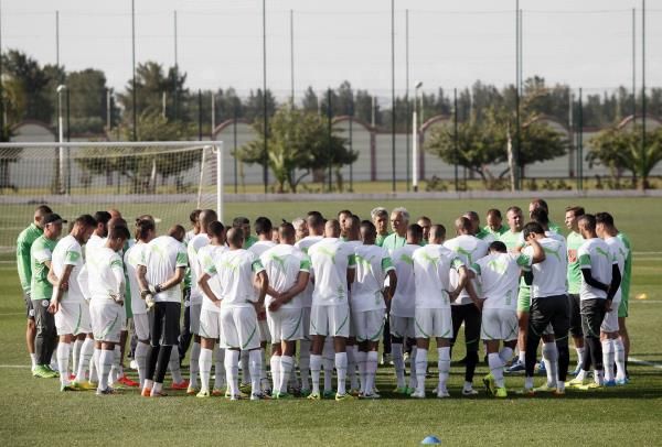 2014-05-26t192253z_1488270435_gm1ea5r09ak01_rtrmadp_3_soccer-world-algeria_reuters