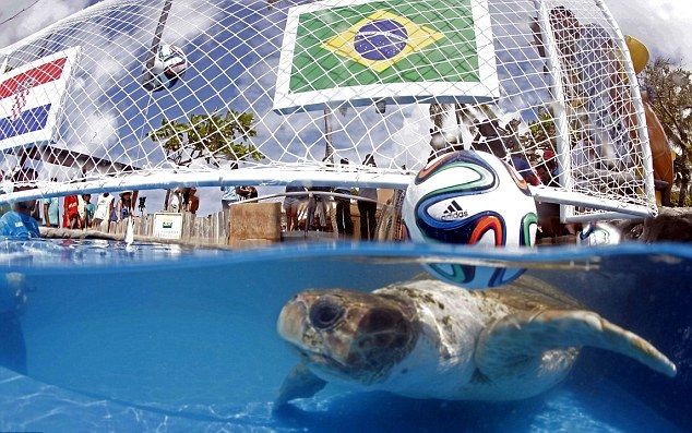 article-2656112-1EA4A6FB00000578-580_634x412